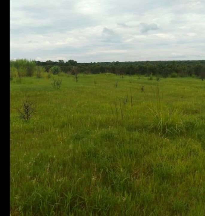 Agricultural land for sale in Ndola