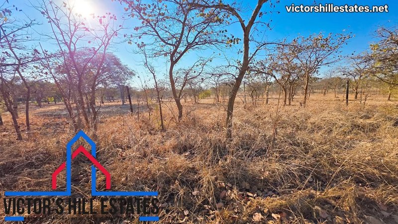 📍 5 ACRE PARCEL OF LAND FOR SALE 600M OFF LEOPARDS HILL RD NEAR MUKAMUNYA