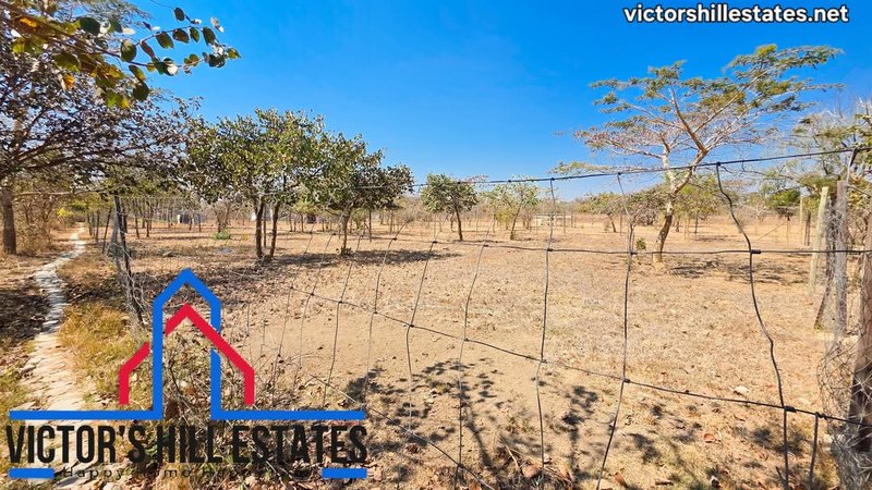 📍 5 ACRE PARCEL OF LAND FOR SALE 600M OFF LEOPARDS HILL RD NEAR MUKAMUNYA