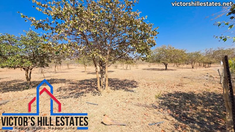 📍 5 ACRE PARCEL OF LAND FOR SALE 600M OFF LEOPARDS HILL RD NEAR MUKAMUNYA