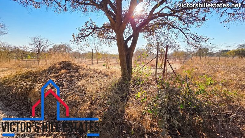📍 5 ACRE PARCEL OF LAND FOR SALE 600M OFF LEOPARDS HILL RD NEAR MUKAMUNYA