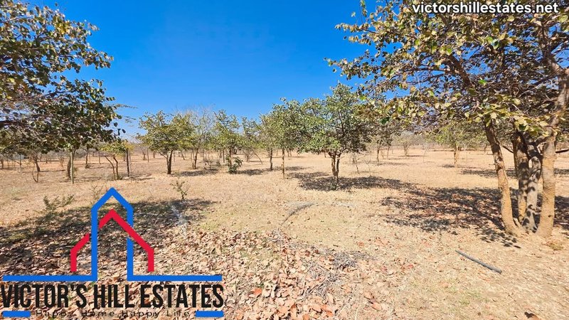 📍 5 ACRE PARCEL OF LAND FOR SALE 600M OFF LEOPARDS HILL RD NEAR MUKAMUNYA