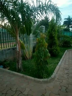 complex of flats,riverside, kitwe