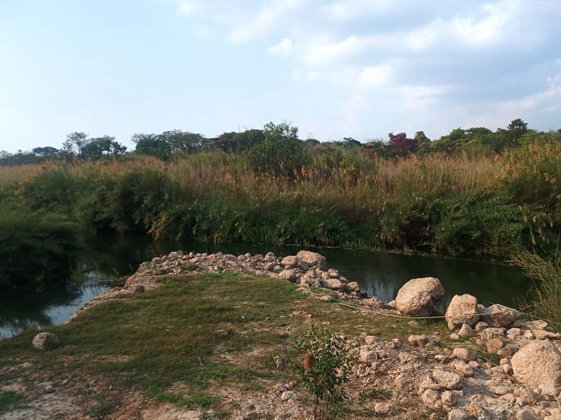 sale:wheat large scale farm,cĥambeshi,Copperbelt