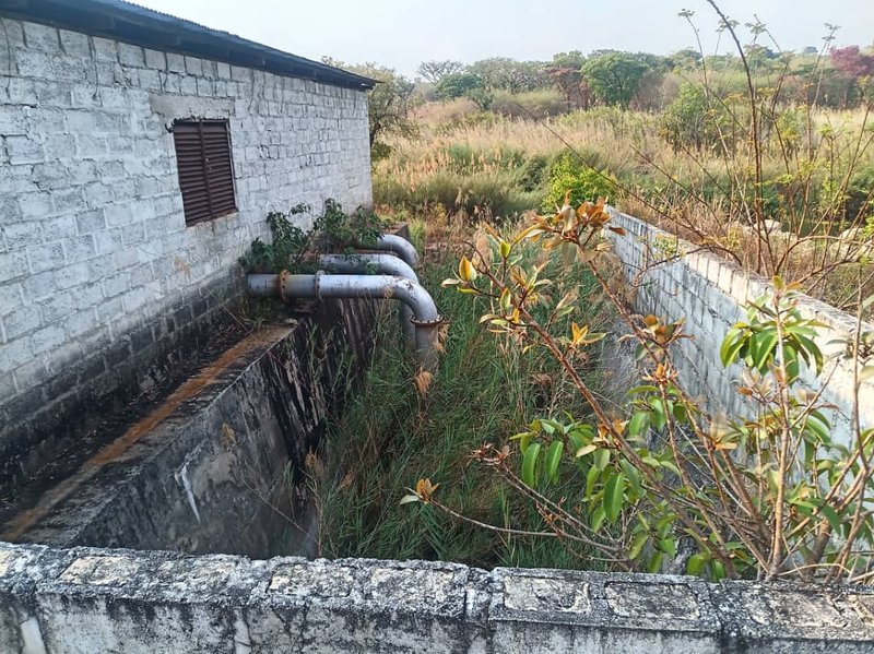 sale:wheat large scale farm,cĥambeshi,Copperbelt