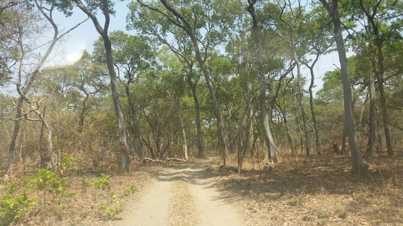 sale:lufwanyama, 5000 hectors, Copperbelt
