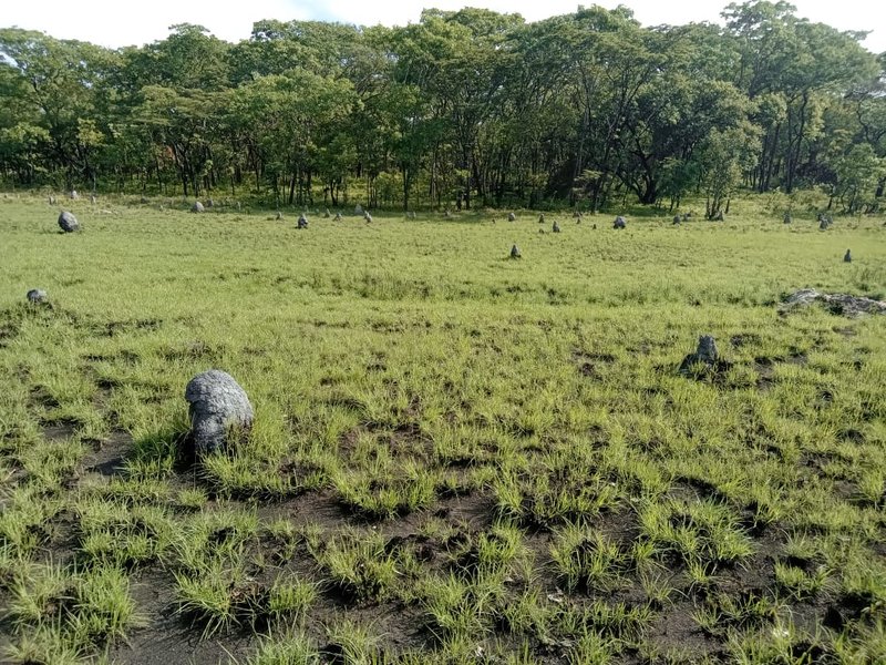 sale:lufwanyama, 5000 hectors, Copperbelt