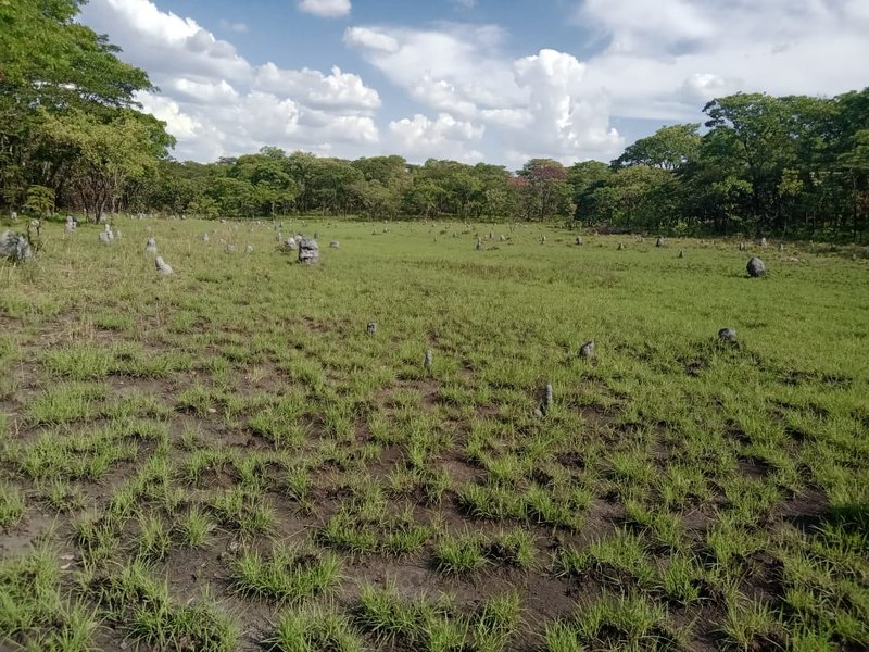 sale:lufwanyama, 5000 hectors, Copperbelt