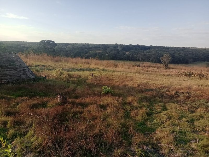 sale:lufwanyama, 5000 hectors, Copperbelt