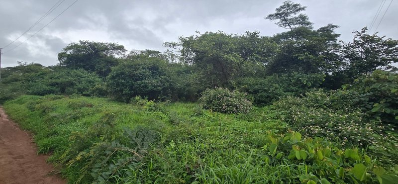 One Acre For Sale, Leopards Hill