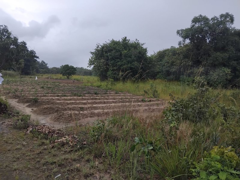 sale:land good for industrial oe commercial purposes