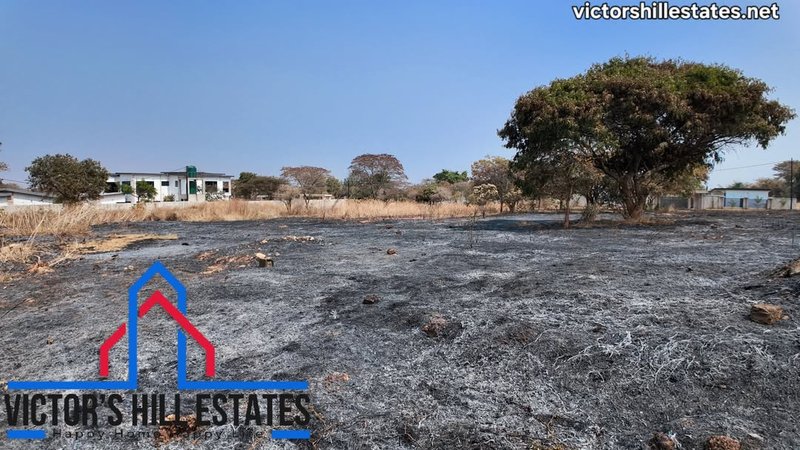 📍50m by 40m PLOT FOR SALE IN NEW KASAMA NEAR MAZOKA 250M OFF TAR