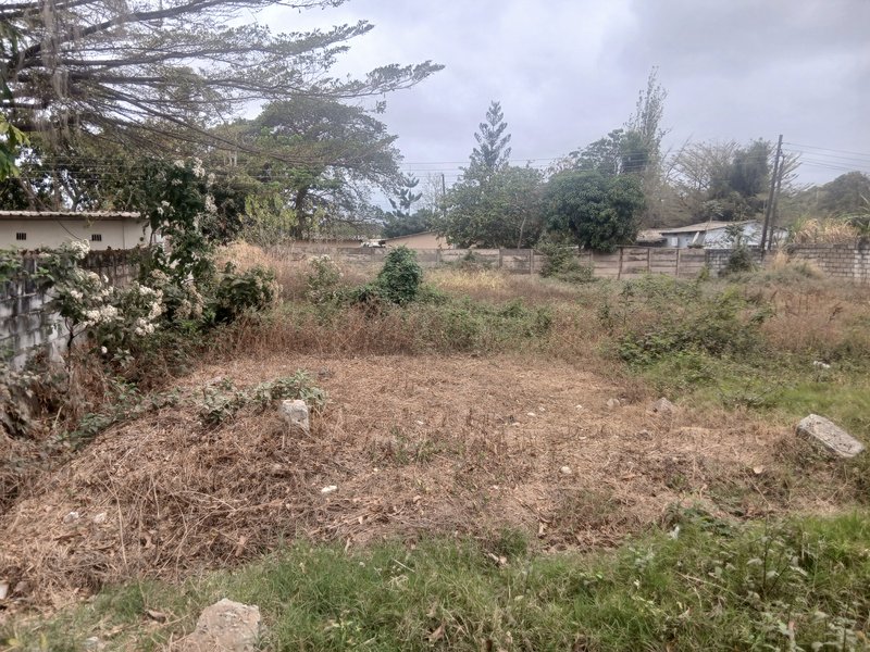 PRIME LAND FOR SALE | CHUDLIEGH