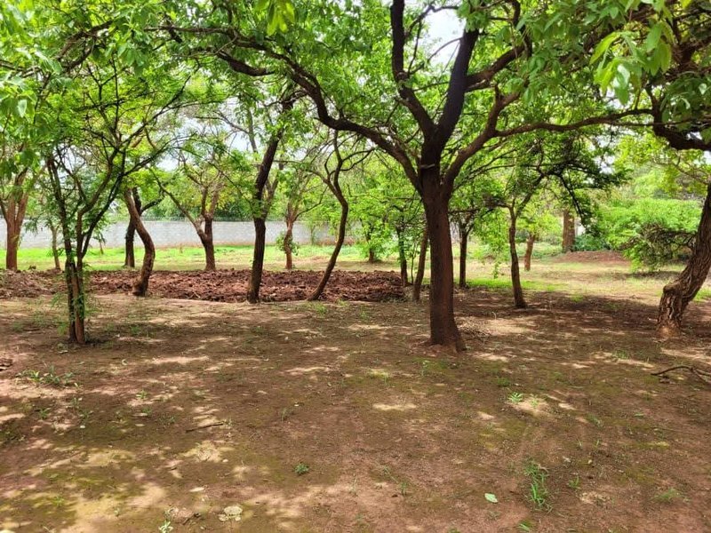 Plot For Sale, Chifwema