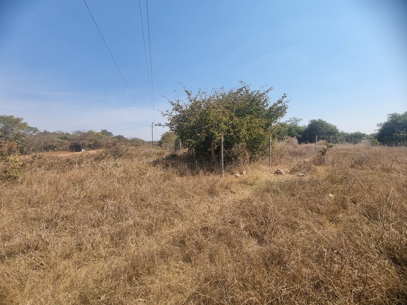100 Hectares for sale