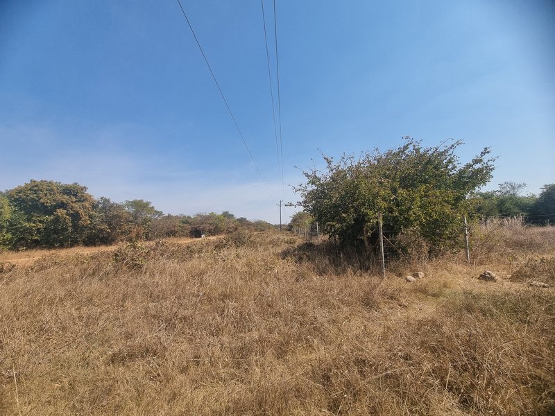 100 Hectares for sale