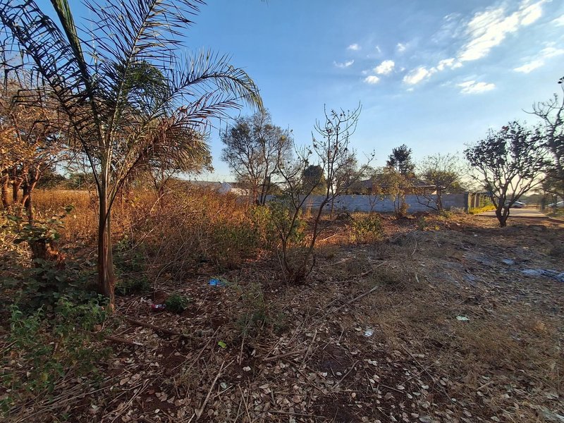 🚨PRIME LOCATION ‼️🚨NEW KASAMA| RESIDENTIAL PLOT FOR SALE|1,200SQM|SALE| K1 MILLION