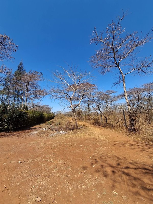 CHILANGA MAPEPE| PRIME LAND FOR SALE|1.5 ACRE|PRICE|K550,000