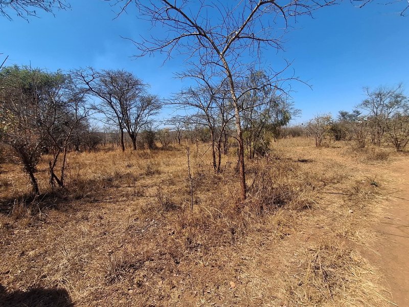 CHILANGA MAPEPE| PRIME LAND FOR SALE|1.5 ACRE|PRICE|K550,000