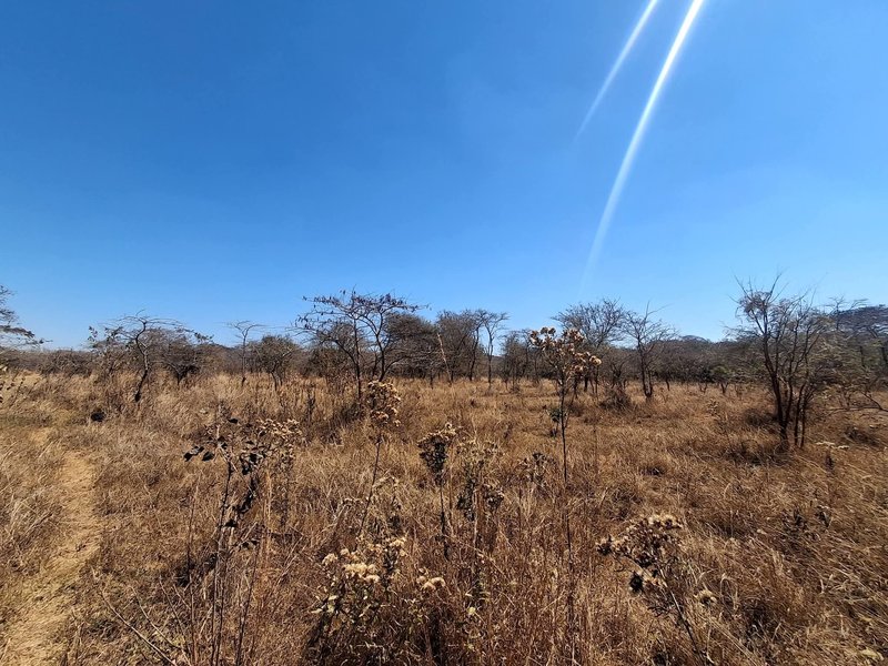 CHILANGA MAPEPE| PRIME LAND FOR SALE|1.5 ACRE|PRICE|K550,000