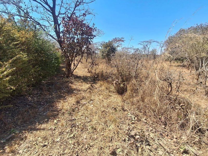 CHILANGA MAPEPE| PRIME LAND FOR SALE|1.5 ACRE|PRICE|K550,000