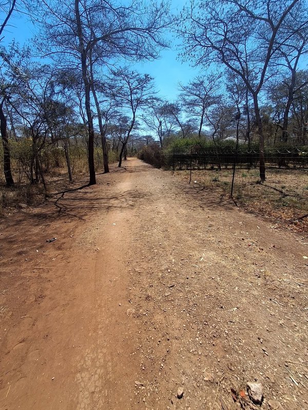 CHILANGA MAPEPE| PRIME LAND FOR SALE|1.5 ACRE|PRICE|K550,000