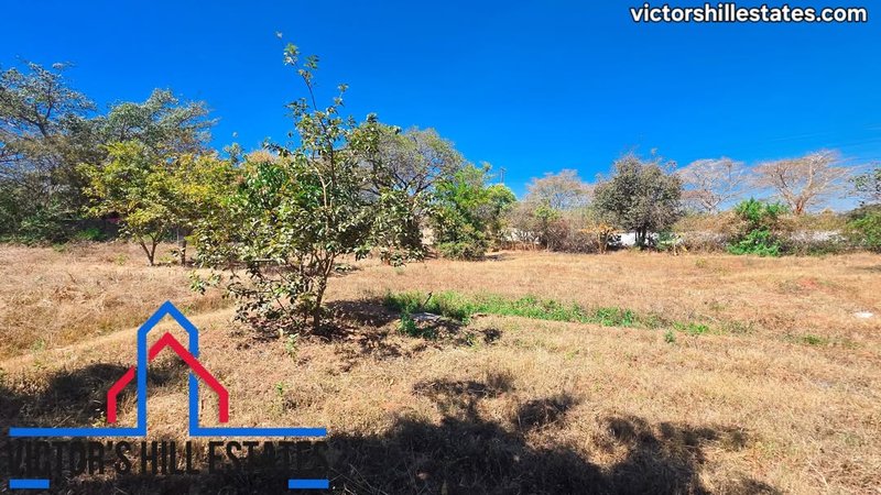 📍 55m by 36m PLOT FOR SALE IN NEW KASAMA NEAR COMMUNITY HOUSE