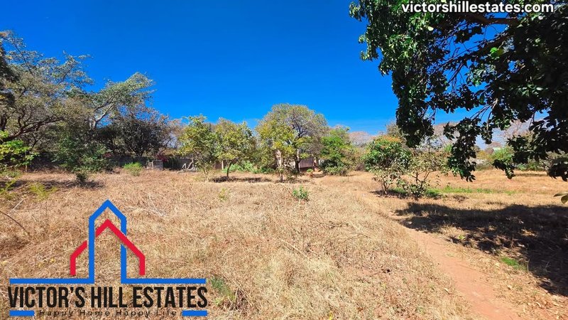 📍 55m by 36m PLOT FOR SALE IN NEW KASAMA NEAR COMMUNITY HOUSE