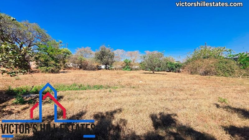 📍 55m by 36m PLOT FOR SALE IN NEW KASAMA NEAR COMMUNITY HOUSE