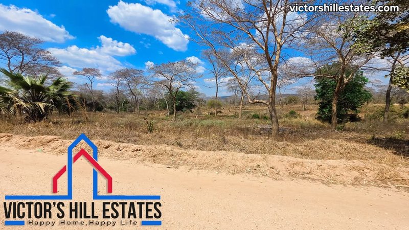 📍 6 ACRES LAND FOR SALE IN PALABANA 8.4KM FROM PALABANA UNIVERSITY