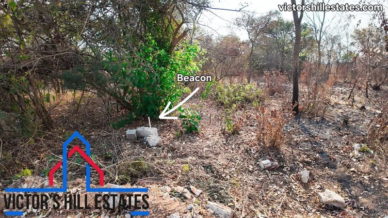 📍30m by 20m PLOT FOR SALE NEAR SILVEREST GARDENS (2 Plots)