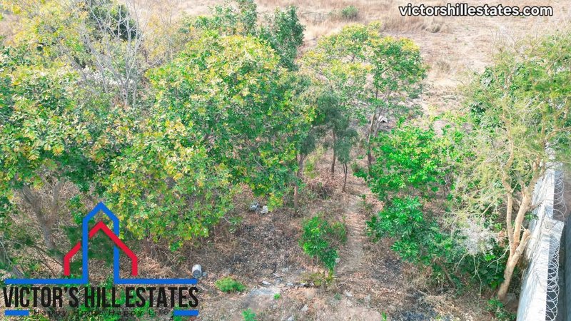 📍30m by 20m PLOT FOR SALE NEAR SILVEREST GARDENS (2 Plots)