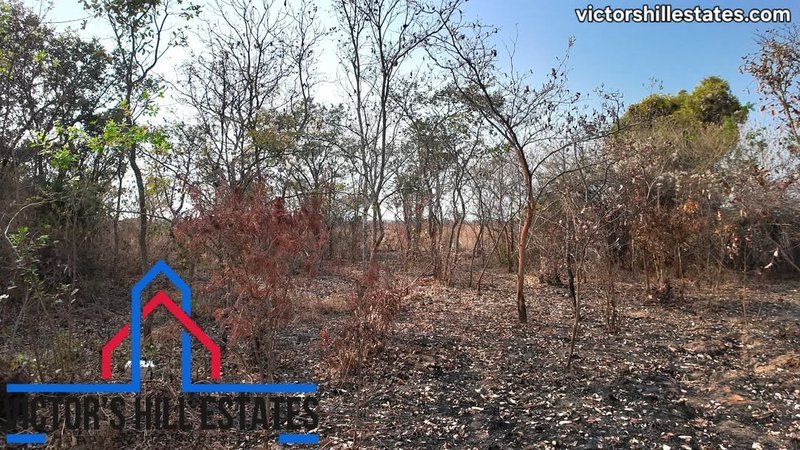📍30m by 20m PLOT FOR SALE NEAR SILVEREST GARDENS (2 Plots)
