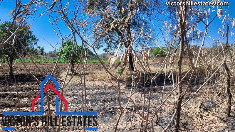 📍 PLOTS FOR SALE IN RANCHDALE 1KM OFF DISTRICT ROAD AFTER SGC FILLING STATION