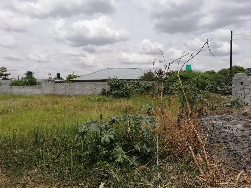 Titled 1250sqm 25mx50m Residential plot in Ranchdale