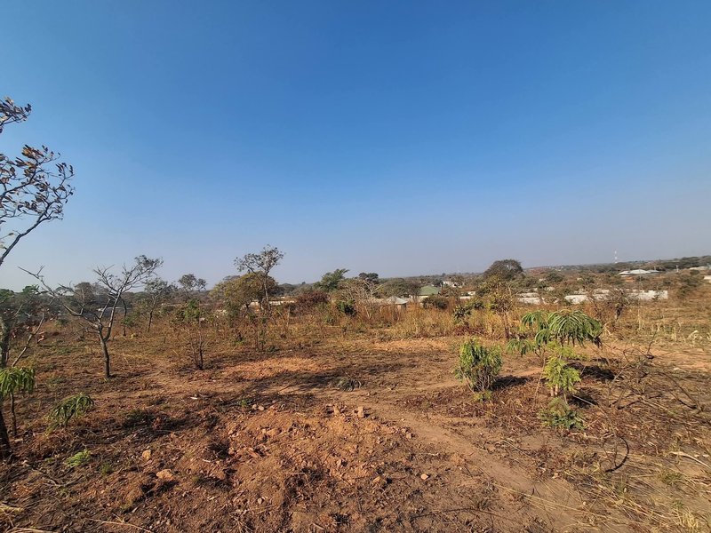 STATE LODGE|PĹOT FOR SALE| {50 BY 50} 2,500SQM|SALE PRICE|K1,000,000M