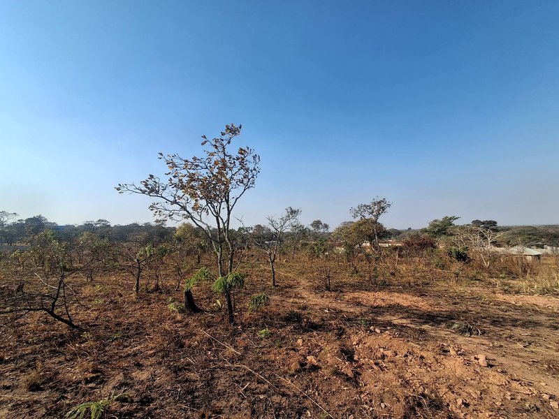 STATE LODGE|PĹOT FOR SALE| {50 BY 50} 2,500SQM|SALE PRICE|K1,000,000M