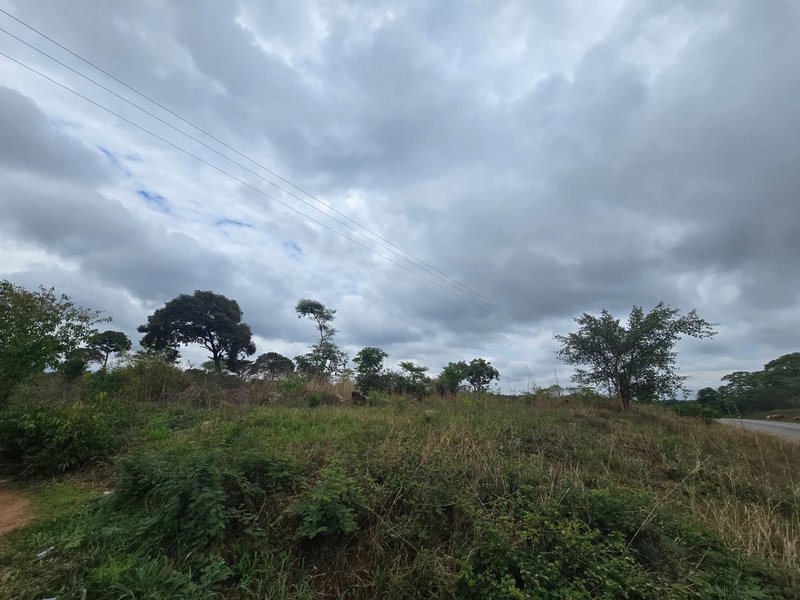 Plots For Sale, Leopards Hill