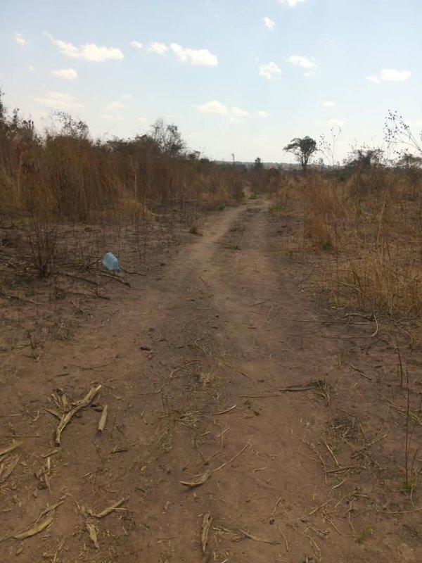 10 Hectares of land for sale