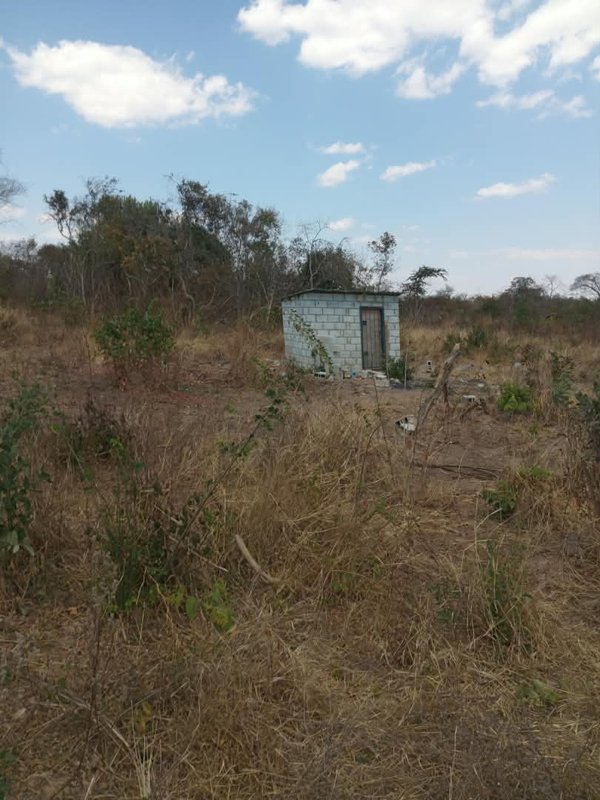 10 Hectares of land for sale