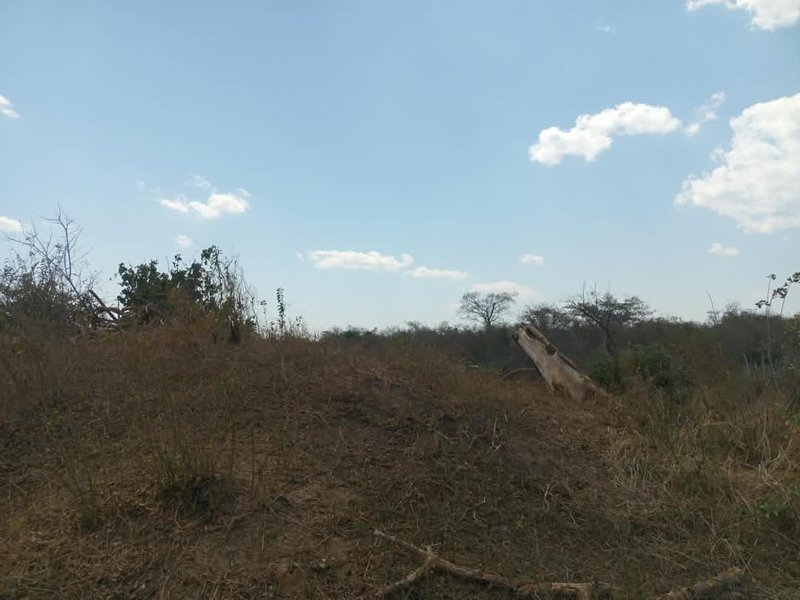 10 Hectares of land for sale