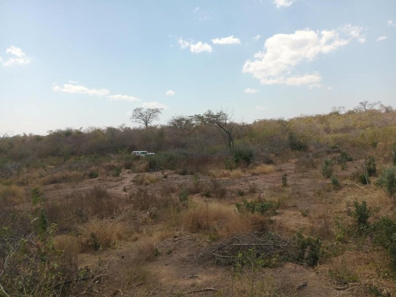 10 Hectares of land for sale