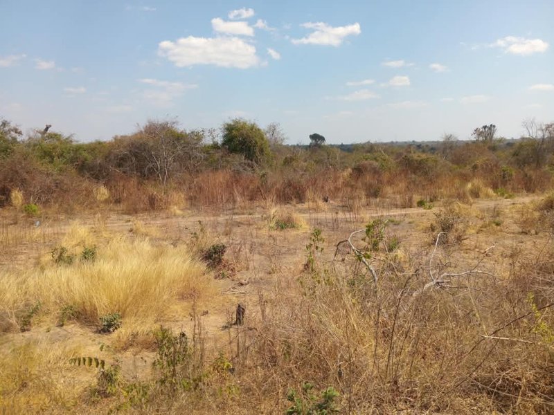 10 Hectares of land for sale
