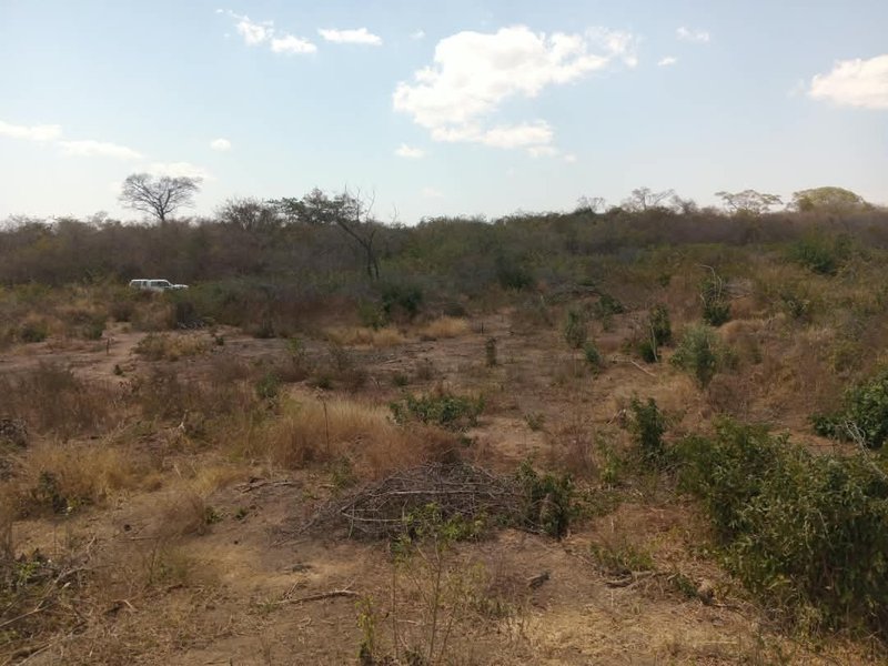 10 Hectares of land for sale