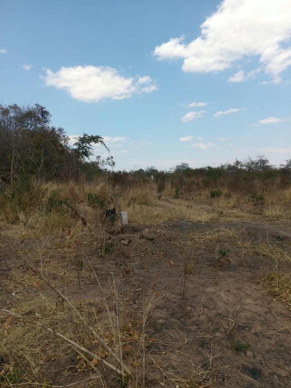 10 Hectares of land for sale