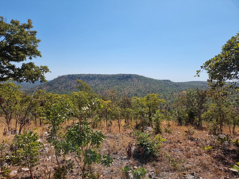 5 acre land