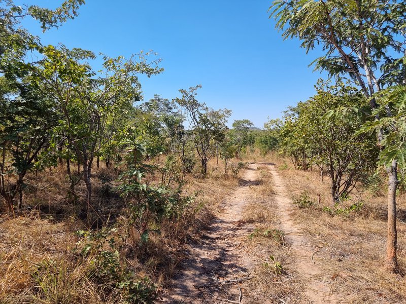 5 acre land