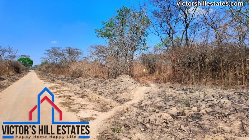 📍 5 ACRE LOT FOR SALE IN MEANWOOD NKOSI 4.2KM FROM THE ENTRANCE
