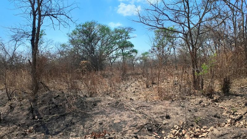 📍 5 ACRE LOT FOR SALE IN MEANWOOD NKOSI 4.2KM FROM THE ENTRANCE
