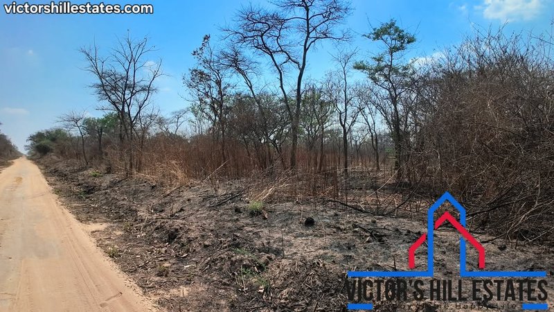 📍 5 ACRE LOT FOR SALE IN MEANWOOD NKOSI 4.2KM FROM THE ENTRANCE